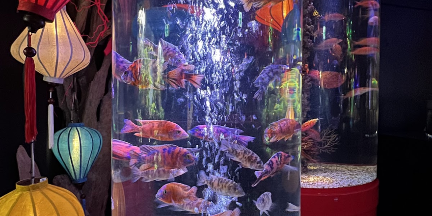 水族館特集